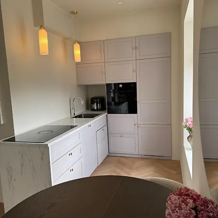 Stroken Og Aerverdig Bygardsleilighet Ved Domkirke *